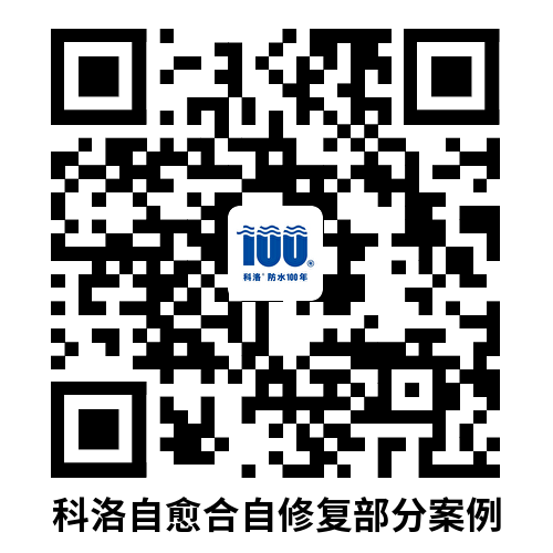 图片7