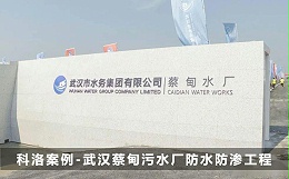 结构自防水技术在武汉蔡甸污水厂防水防渗项目的应用详解
