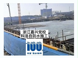 浙江嘉兴党校使用科洛结构自防水施工
