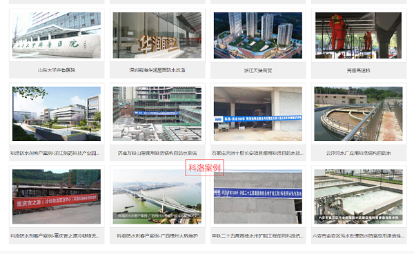 DPS永凝液防水材料品牌选购要点